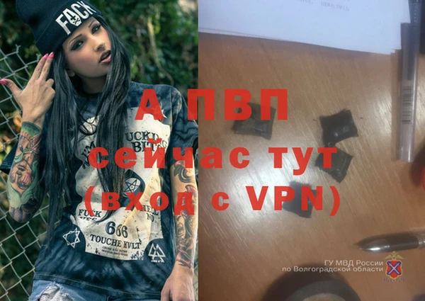 герыч Алексин