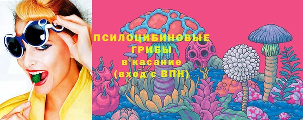 герыч Алексин